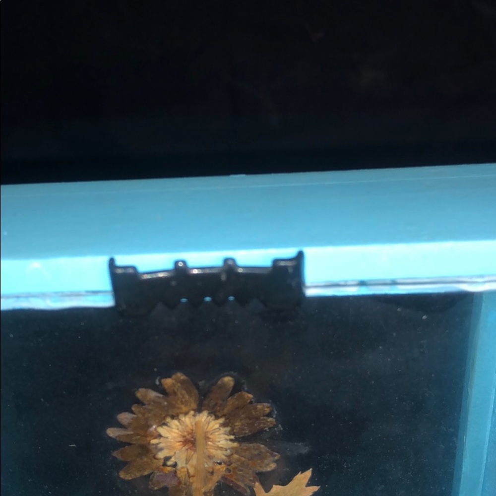 Sun Flower Pot In A Box - Picture 5 of 5